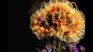 Thumbnail: Delphinium, the making of a Botanical Goddess Art Doll
