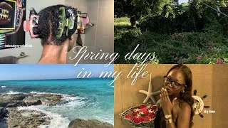 Thumbnail: spring journal entry : turning  20, dilly dallying, embracing my natural hair & more