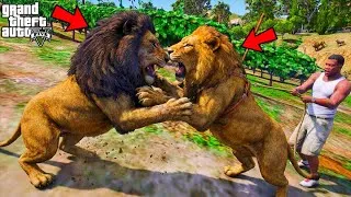 Thumbnail: Franklin's Pet Lion vs Lion King in GTA 5 