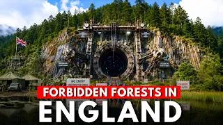Thumbnail: 15 Forbidden Forests in England That Governments Won't Let Anyone Enter