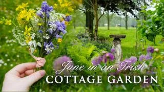 Thumbnail: June in the cottage garden | a day in my life | country living | cottage garden design