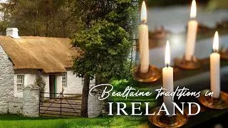 Thumbnail: Bealtaine in Ireland | my rural life | country living in Ireland | Irish folklore traditions | cows