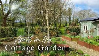 Thumbnail: Irish Cottage Garden | Spring Garden Update | April in the Cottage Garden | Slow Living in Ireland