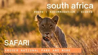 Thumbnail: Unforgettable South Africa Safari: Lions, Leopards & Epic Wildlife - Kruger National Park