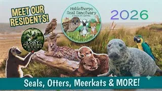 Thumbnail: Meet Our Residents At The Seal Sanctuary [Mablethorpe] #zoo 