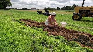 Thumbnail: Digging Red Potatoes