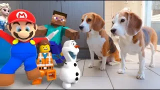 Thumbnail: TOP 500 Animation in Real Life vs Dogs | LEGO - Minecraft - Mario and More!