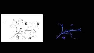 Thumbnail: floral path 2