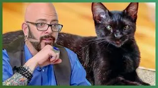 Thumbnail: Jackson Fears Mojito May Lose Her New Home | My Cat From Hell