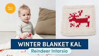 Thumbnail: Debbie Bliss Winter Blanket KAL | Part Five: Reindeer Intarsia