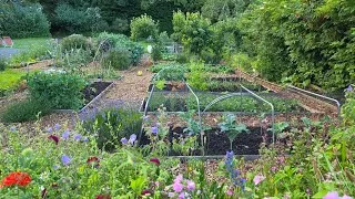 Thumbnail: The Garden in June—a full garden update 🌿