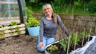 Thumbnail: From Seedlings to Summer Harvests 🌿 Garden Planting Day
