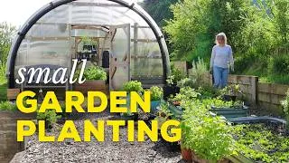 Thumbnail: Grow WAY More Food in Less Space (Small Vegetable Garden Series #1)