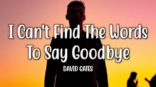 Thumbnail: I Can't Find The Words To Say Goodbye - David Gates (Lyrics)