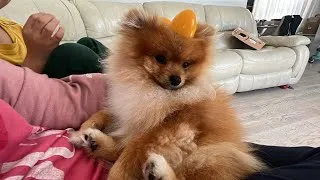 Thumbnail: Chillaxing with My Lovely Family