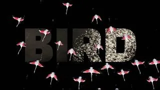 Thumbnail: LEENALCHI 이날치 - BIRD 새타령 [Official M/V]