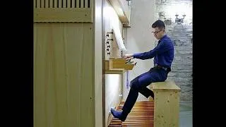 Thumbnail: JOHN RUTTER: "Celebration" (bis) Lorenzo Distante, organo / Piuro, 17-07-2026