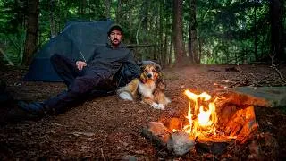 Thumbnail: Camping with My Dog || Brook Trout Fishing + Remote Waterfalls