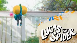 Thumbnail: Findley Gets a Surprise Birthday Cake | Cartoon for Kids | Lucas the Spider