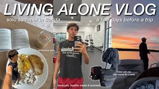 Thumbnail: Living Alone Vlog: Productive Summer, Workouts, Healthy Meals, Pack & Travel With Me