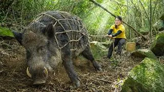 Thumbnail: Harvesting A Wild Boar Stuck In The Forest While Picking Lychees | Nature’s Amazing Gift | Lucia