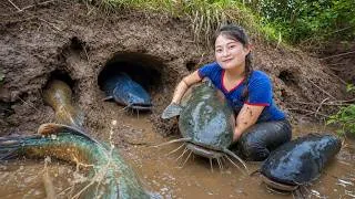 Thumbnail: Harvesting Rare Fish From A Low-Water Lake | Hidden Creatures Appeared | Lucia