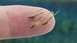 Thumbnail: This little nymph has been very effective for me. Should I make a full step-by-step tying video?