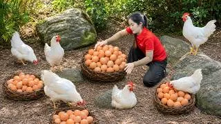 Thumbnail: Harvesting White Chicken, Chicks & Goes to market sell | Transport Chickens by Truck