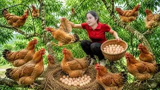 Thumbnail: Harvesting Rooster Chickens, Hens & Goes to market sell | Collecting Eggs Until My Hands Get Tired