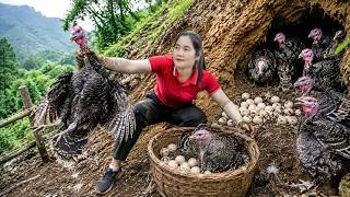 Thumbnail: Harvesting A Lot Of Turkey Eggs, Big Turkey by the Stream Goes to market sell | Raise Quail Chicks