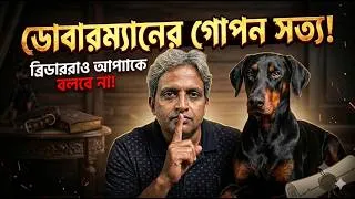 Thumbnail: Doberman Buying Guide☺️পিওর ডোবারম্যান চেনার সহজ উপায়!🤔কেনার আগে ব্রিডারদের গোপন তথ্যগুলো জেনে নিন!