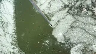 Thumbnail: Strength contrast in coarse (white) and fine (green) grained ice.