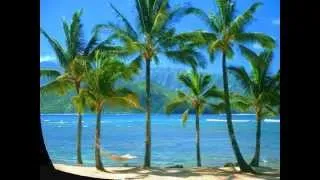 Thumbnail: Siento Nostalgia de Palmeras - Celia Cruz