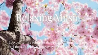 Thumbnail: Nature’s Rhythm 🌿 Deeply Relaxing Music to Awaken Your Senses & Restore Your Spirit