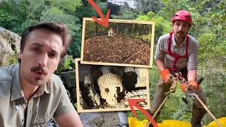 Thumbnail: Exploring Forgotten Appalachia & Ancient Caves of Central America (Supercut) 
