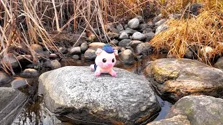 Thumbnail: PIGGE REAL