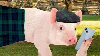 Thumbnail: RETURN OF THE PIGGE
