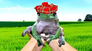 Thumbnail: frogge has one week left