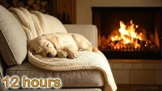Thumbnail: ☆ 12 HOURS ☆ Relaxing Music + FIREPLACE Sounds ♫ Puppy Sleeping Music ☆ Sleep music for dogs puppies