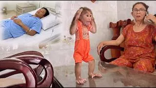 Thumbnail: Lulu Is Saddened by the Bad News About Dad After Uncle Dai’s Call