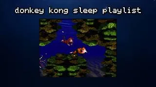Thumbnail: 🌴 𝘳𝘦𝘴𝘵 𝘢𝘸𝘩𝘪𝘭𝘦 - Relaxing Donkey Kong Sleep Playlist