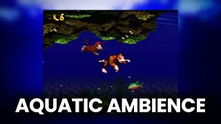 Thumbnail: 1 hour of Aquatic Ambience to Sleep and Relax to