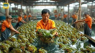 Thumbnail: How Chinese Farmers Breed and Consume Billions of Frogs Each Year - Frog Processing Plants