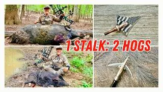 Thumbnail: 1 ARCHERY STALK: 2 HOGS DOWN!!! #elitearchery #beastbroadheads #Kudubroadheads