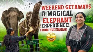 Thumbnail: Weekend Getaway From Hyderabad!! | Magical Elephant Park From Hyderabad!! | Road Trip In EV Car