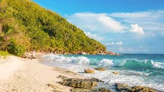 Thumbnail: Tropical Heaven: Wild Beach & Ocean Sounds. Felicite Island, Seychelles