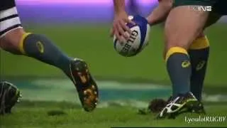 Thumbnail: November Rugby Internationals 2014 - HD Montage