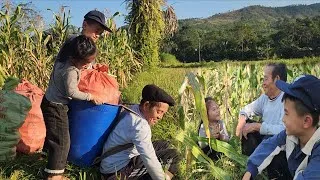 Thumbnail: Harvesting corn, the mutual help of 3 grandfathers and grandchildren in work.