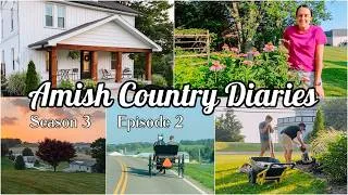 Thumbnail: Getting Settled in at our Ohio Airbnb | Amish Country Diaries