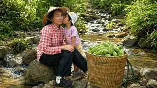 Thumbnail: Renovating the home garden: Harvesting bitter melon to sell | Building a life with my daughter.